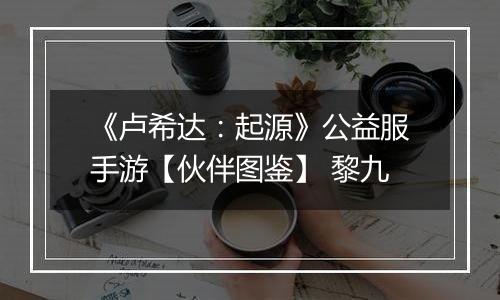 《卢希达：起源》公益服手游【伙伴图鉴】 黎九