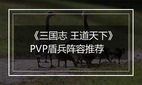 《三国志 王道天下》PVP盾兵阵容推荐